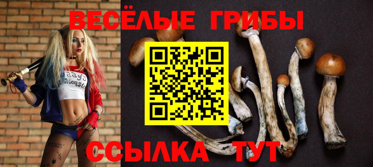 Галлюциногенные грибы Psilocybine cubensis  дарнет шоп  Вход с VPN  Армавир  Галлюциногенные грибы GOLDEN TEACHER 